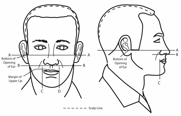 Us Navy Mustache Regulations A Guide To Grooming Standards News Military